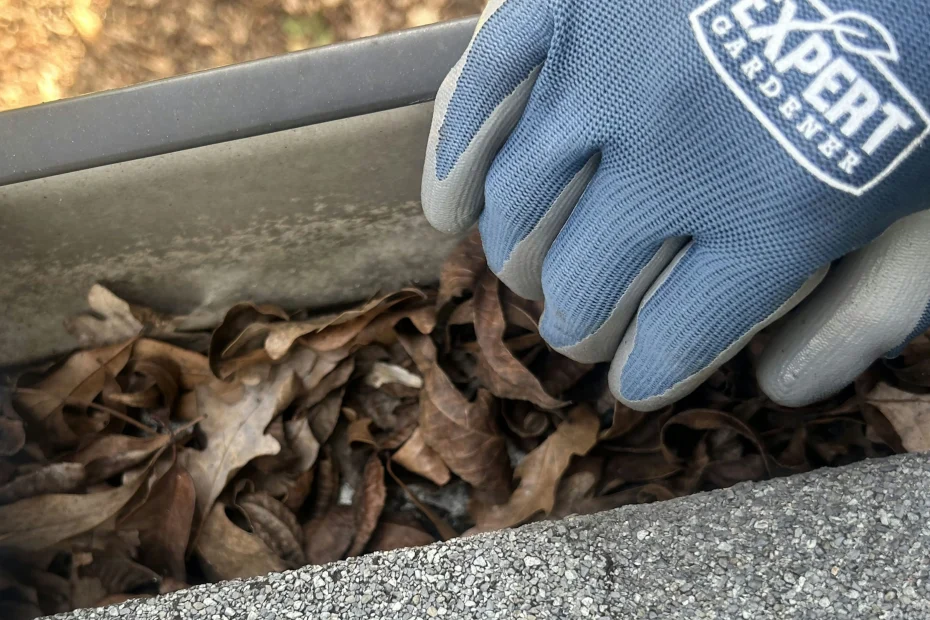 Gutter Cleaning Hampton GA