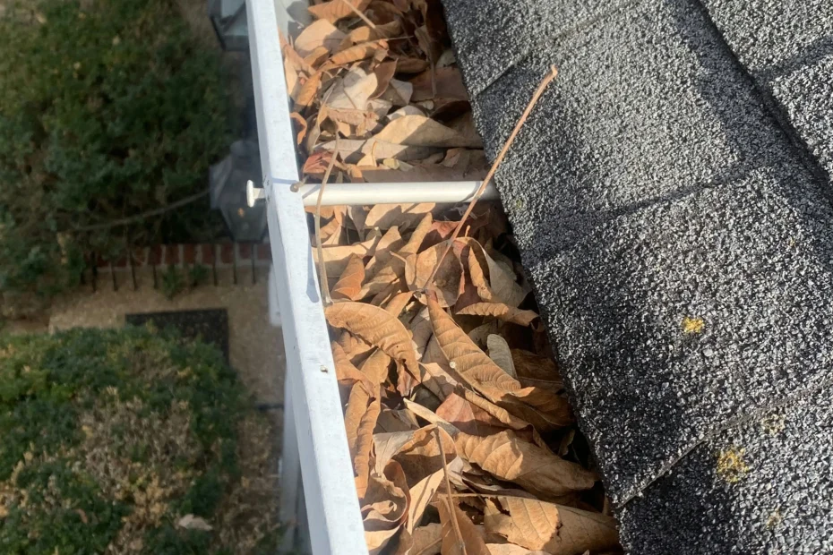 Gutter Cleaning Hampton GA