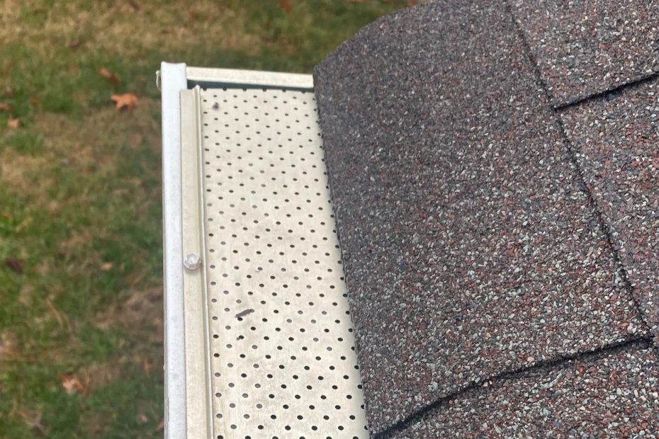 Gutter Cleaning Hampton GA