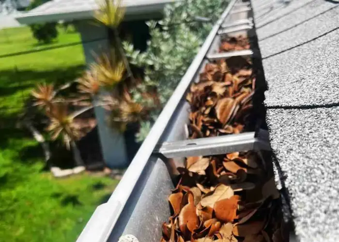 Gutter Cleaning Hampton GA home page